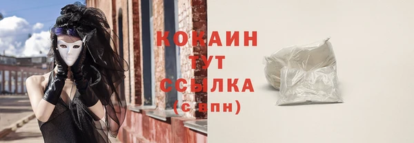 прущий лед Михайлов