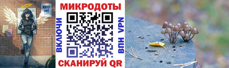 Псилоцибиновые грибы Cubensis где можно купить наркотик Череповец